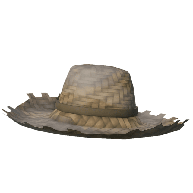 A shallow straw hat with a brown band around it.